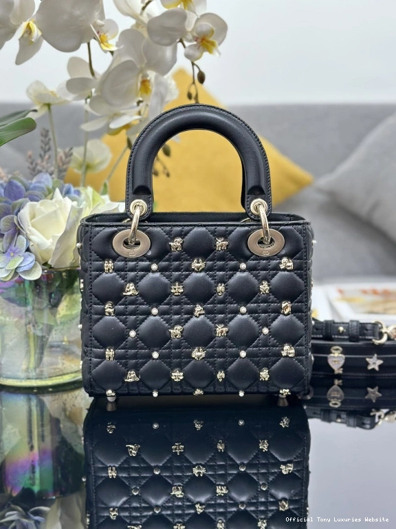 Tony Luxuries DI0R-20CM LADY 0711